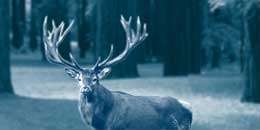 Firmengründung Finanzplanung